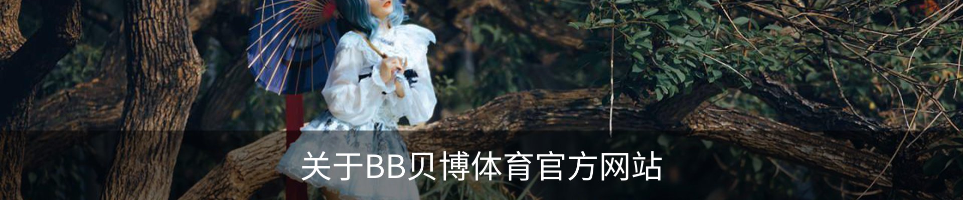 关于BB贝博体育官方网站
